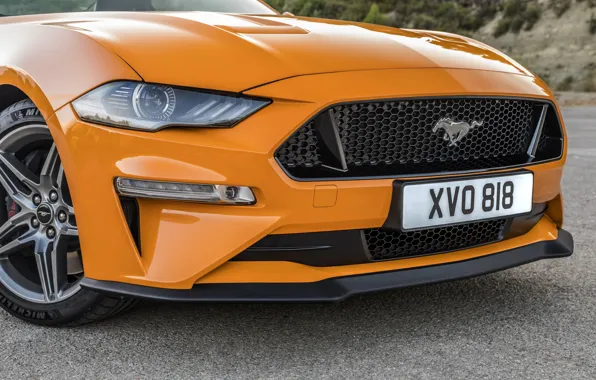 Orange, Ford, 2018, the front part, fastback, Mustang GT 5.0