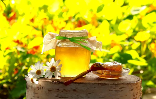 Picture field, summer, flowers, yellow, stump, chamomile, cell, honey