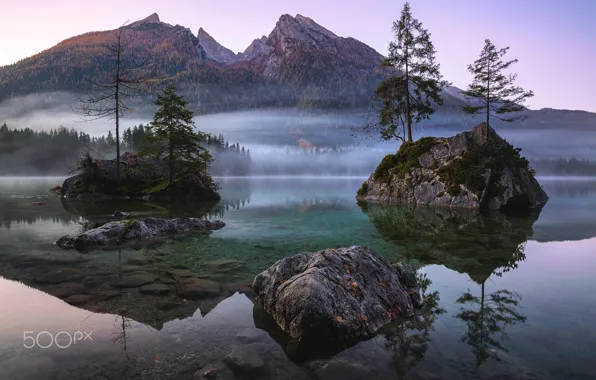 Picture water, transparency, trees, nature, lake, river, stones, rocks