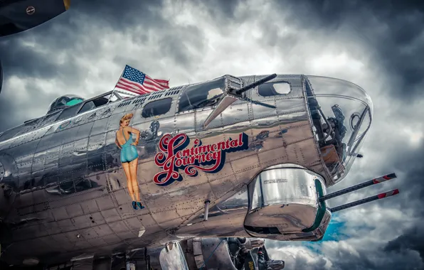 Picture the sky, girl, clouds, metal, the plane, figure, flag, USA