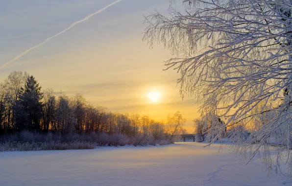 Picture winter, frost, forest, the sun, snow, trees, sunrise, glade
