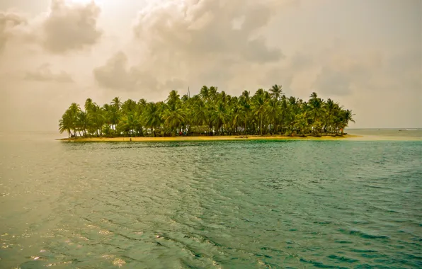 Landscape, clouds, tropics, palm trees, overcast, island, houses