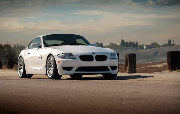 Picture BMW, BMW, white, before, white, Z4M