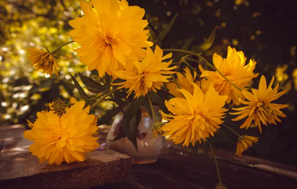 Picture flowers, nature, naturmort