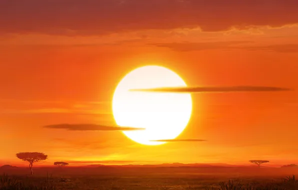 Picture sky, trees, sunset, clouds, plants, ArtStation, Sun, David Edwards