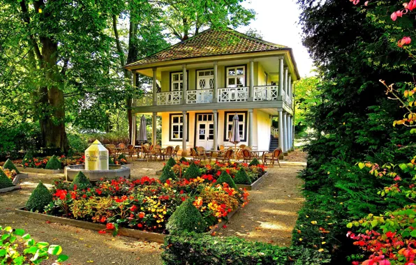 Picture flowers, house, garden
