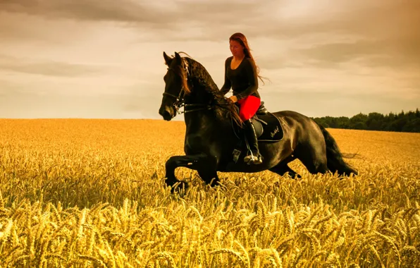 Picture girl, horse, wheat field, riding, farmland