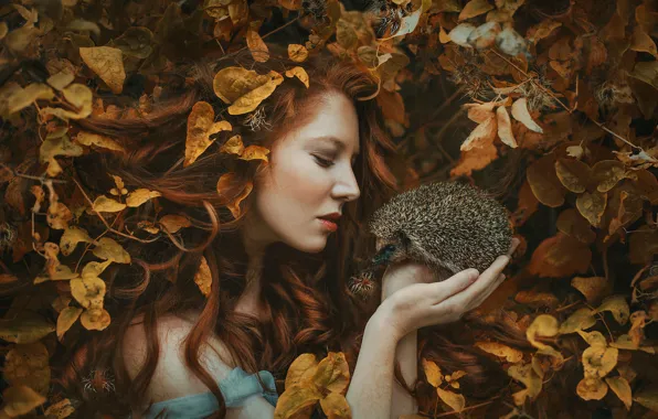 Autumn, leaves, girl, branches, nature, face, pose, mood
