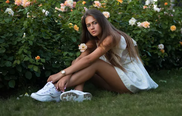 Roses, mole, legs, sponge, the beauty, Dmitry Shulgin