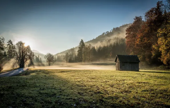 Field, fog, home, morning