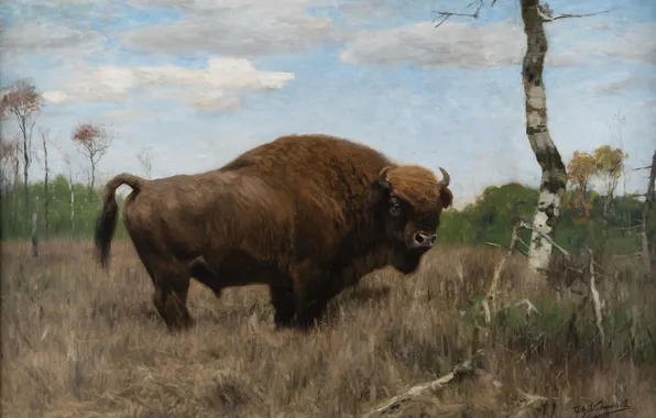 Picture Grass, Trees, Picture, Buffalo, Friedrich Wilhelm Kunert, Friedrich Wilhelm Kuhnert, Wilhelm Kunert, Wilhelm Kuhnert