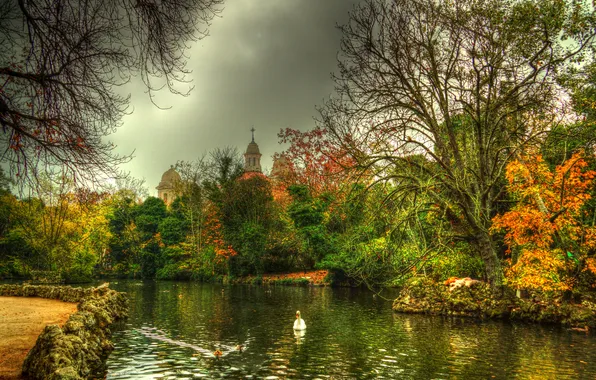 Autumn, trees, HDR, Swan, river, Spain, the bushes, Castille and Leon