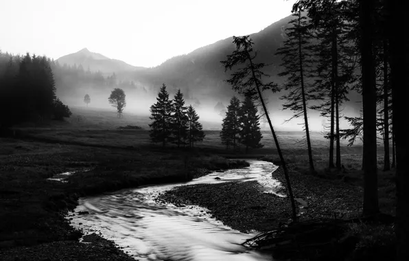 Picture field, forest, the sky, trees, mountains, stream