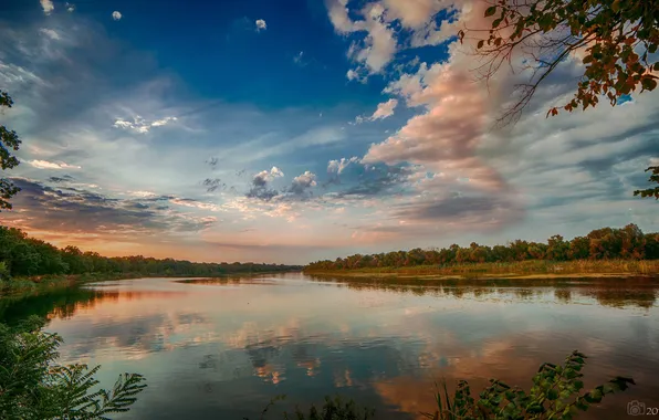 Picture forest, landscape, nature, river, Sergey Satula