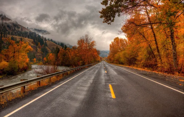 Road, autumn, nature, river