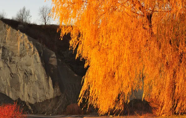 Autumn, the sky, rock, tree