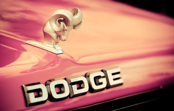 The hood, logo, Dodge, emblem
