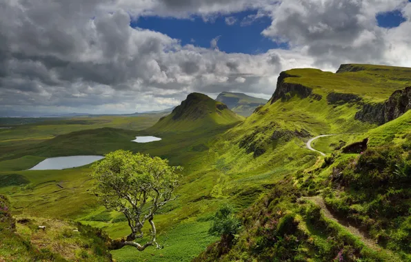 Greens, summer, the sky, clouds, mountains, tree, hills, height