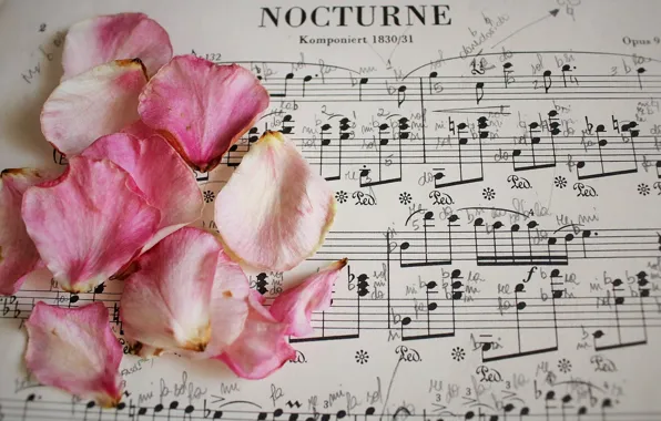Notes, music, roses, petals