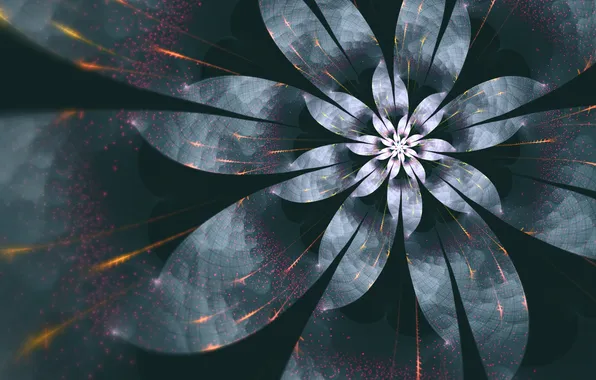 Flower, light, line, spiral, petals