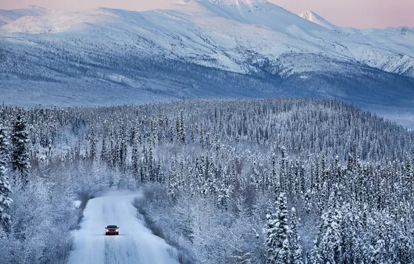 Picture road, snow, Jaguar, Jaguar, forest.mountains