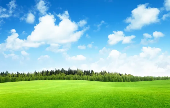 Field, forest, clouds, trees