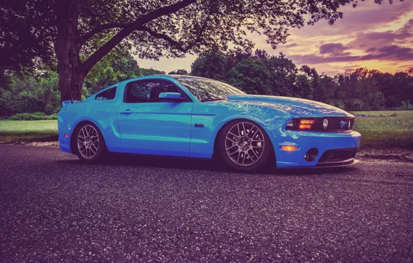 Mustang, Ford, Road, Wheel, Ford, Muscle, Mustang, Car