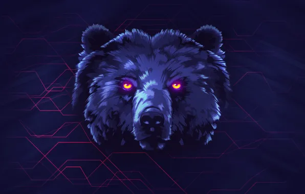 Picture Bear, Background, Face, Neon, Animals, James White, Synth, Retrowave