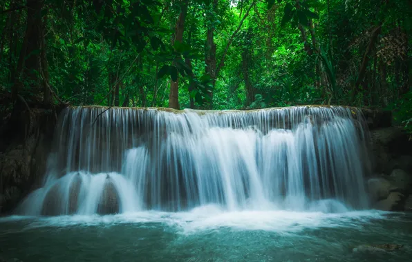 Picture waterfall, beauty, trees, forest, nature