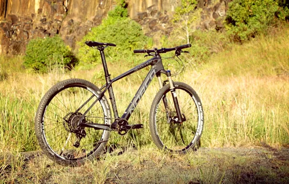 Summer, nature, sport, bicycle, bike, sports, mountain bike