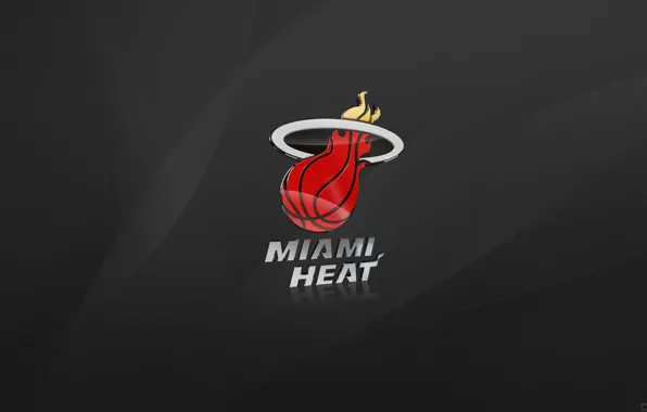 Picture Grey, Basketball, Background, Logo, NBA, Miami, Miami Heat
