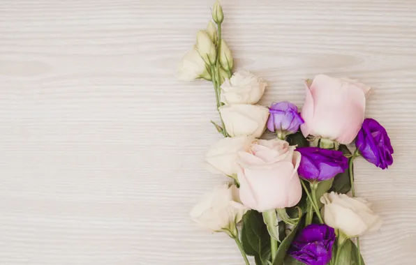 Flowers, roses, bouquet, pink, flowers, purple, roses, eustoma