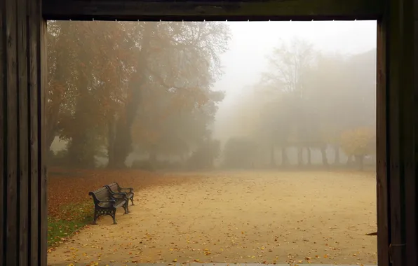 Autumn, Park, bench