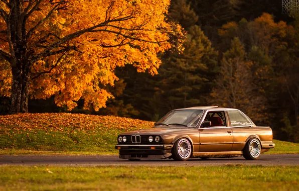 Autumn, light, tree, foliage, BMW, e30, 325si