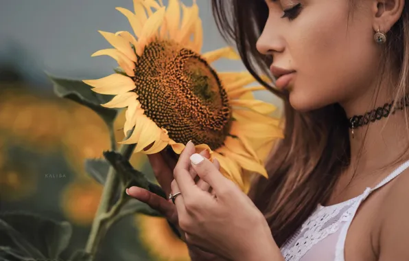 Picture look, sunflowers, hair, Girl, Kalisa Marcenco