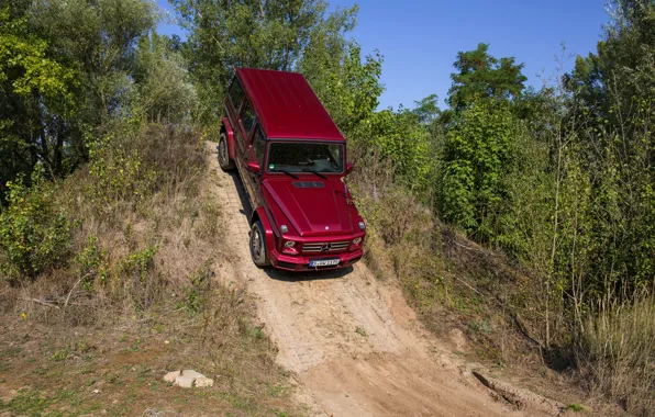 The descent, Mercedes-Benz, SUV, G500, G-Class, 2015, G 500, V8 Biturbo