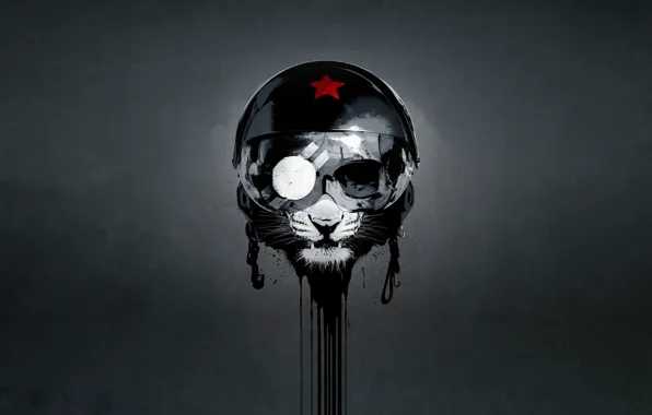 Minimalism, Cat, Style, Helmet, Leo, Background, Art, Art