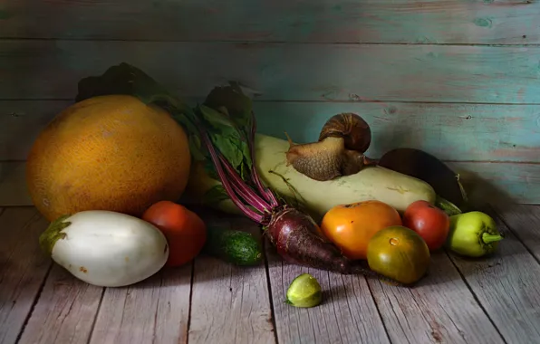 Table, harvest, cucumber, eggplant, still life, vegetables, tomato, melon