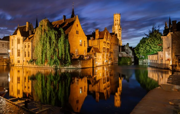 Picture trees, night, the city, reflection, building, home, lighting, channel