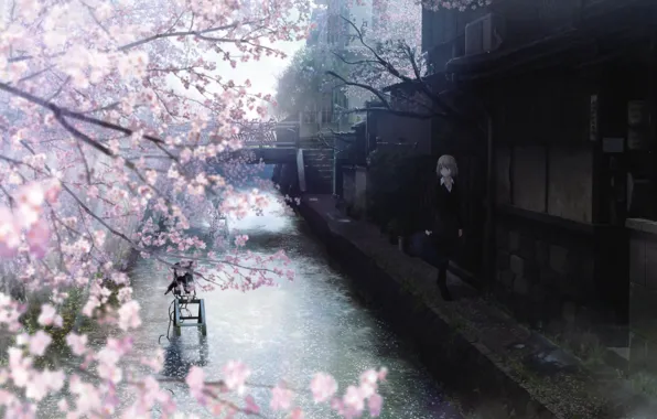 Bridge, street, home, Sakura, ladder, channel, Schoolgirl, flowering