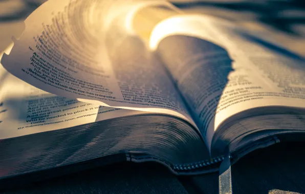 Love, Christian, God, Bible, Sunlight, Jesus, Timothy Eberly, Holy Bible