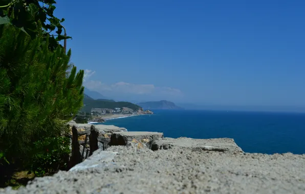 Sea, pine, Turkey