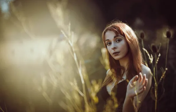 Look, girl, nature, background, stems, hand, portrait, brown hair