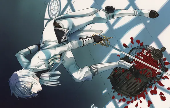 Shadow, cell, costume, gloves, white hair, rose petals, art, sword