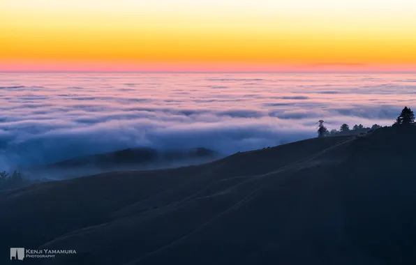 Forest, the sky, clouds, sunset, mountains, photographer, Kenji Yamamura