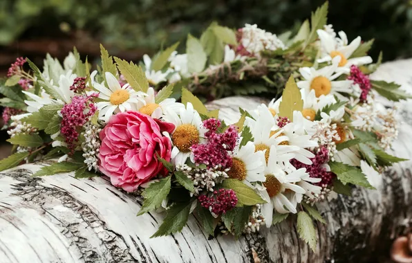 Picture summer, chamomile, log, wreath