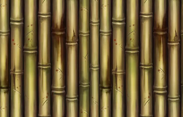 Texture, bamboo, art, Bamboo, Dan Khanh Tran