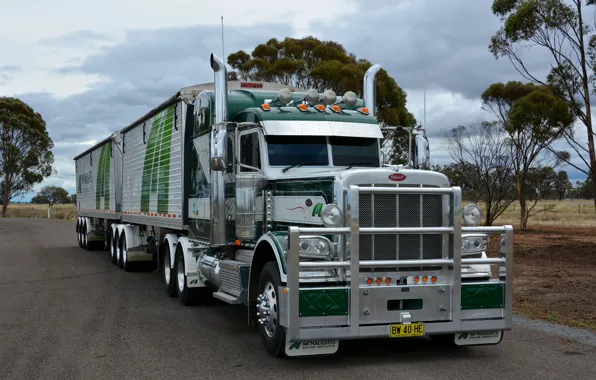 Tractor, peterbilt, train, road train