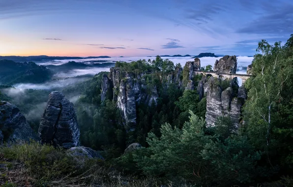 Forest, mountains, rocks, view, height, dal, Elbe Sandstone mountains