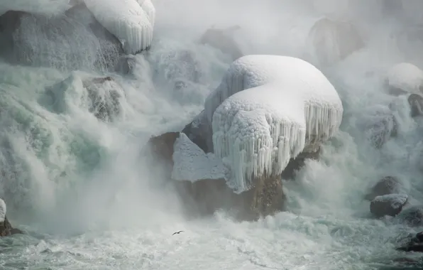 Winter, sea, wave, snow, birds, storm, nature, fog